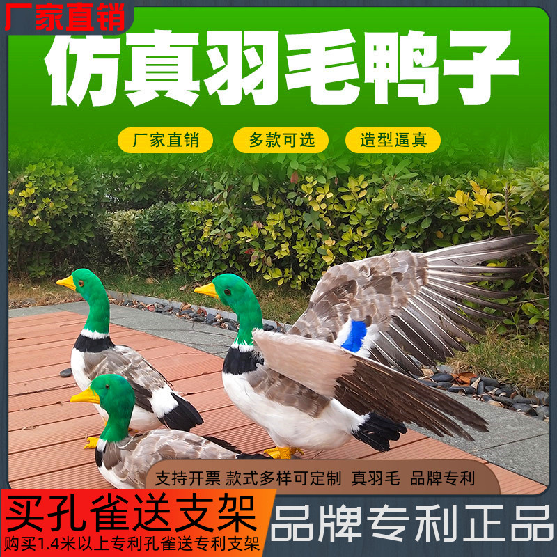 仿真鸭子摆件麻鸭标本动物模型超市装饰品园林布景观道具早教认知