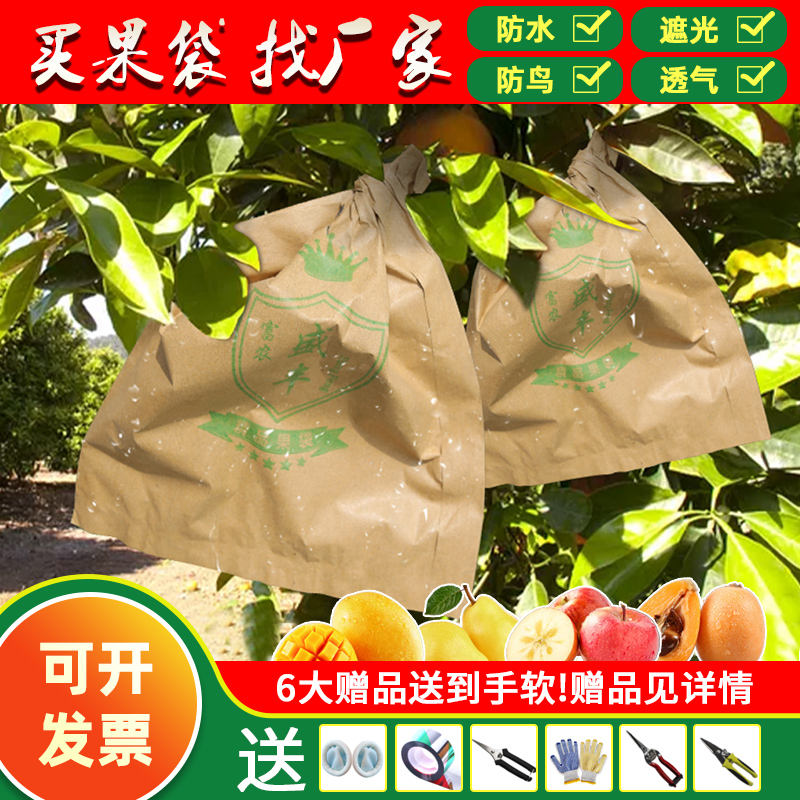 枇杷套袋芒果苹果桃子袋子梨果树袋芭乐番石榴脐橙柚子专用防虫袋