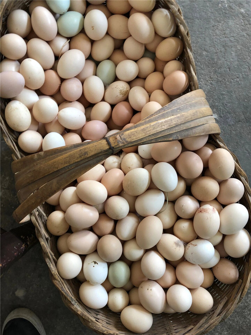 现捡农户散养土鸡蛋新鲜包邮随州本地土鸡蛋40枚包邮三天发货