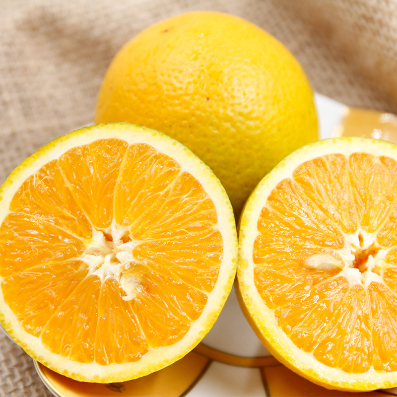 秭归夏橙冰糖水果应季橙子野果芭芭农场yyds高端水果