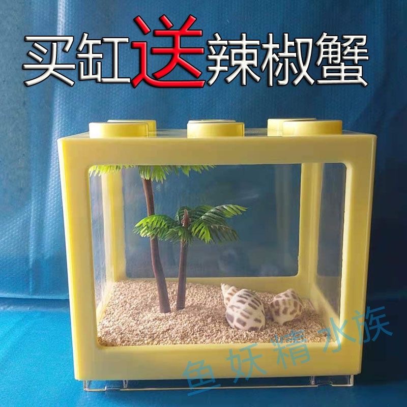迷你辣椒蟹桌面系小宠物生态系统缸造景儿童礼物小号缸可爱饲养箱