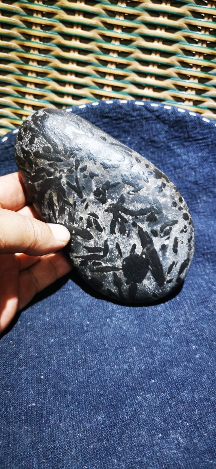 捡石人自捡的新疆戈壁石奇石观赏石小摆件 细腻圆润有黑多小虫子
