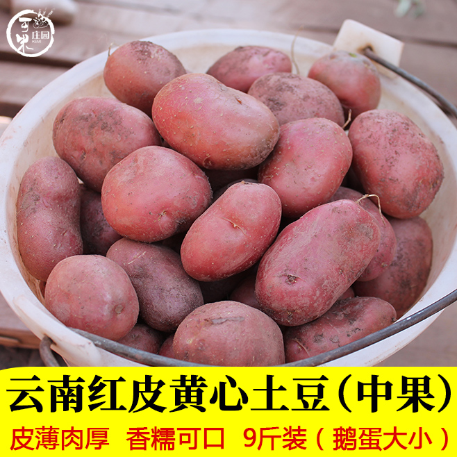云南红皮黄心土豆马铃薯洋芋9斤中大土豆农家蔬菜粉糯土豆洋芋