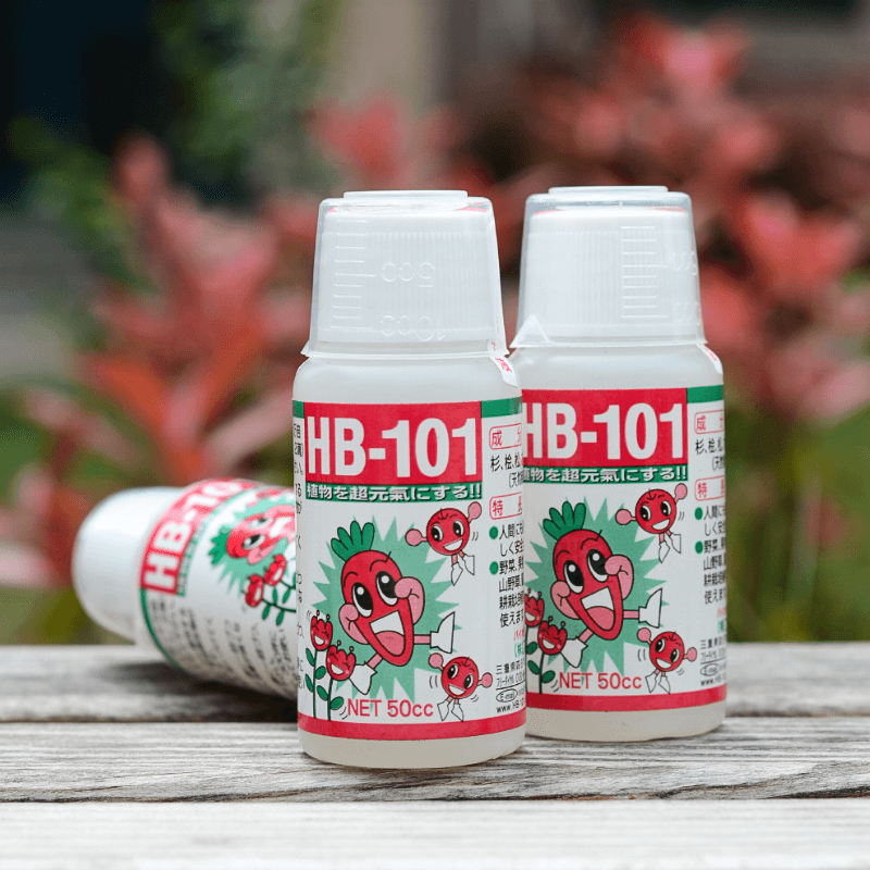 HB101活力素植物天然活力液日本进口hb101颗粒缓释肥料多肉花卉肥