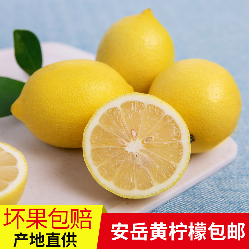 四川安岳特产黄柠檬新鲜水果一级大果商用5斤当季现摘整箱香水青