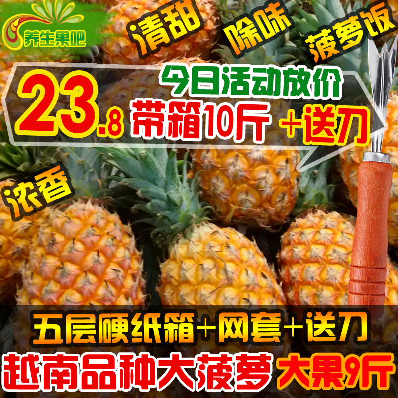 新鲜香水越南品种大菠萝手撕菠萝大果菠萝水果胜泰国菠萝送刀除味