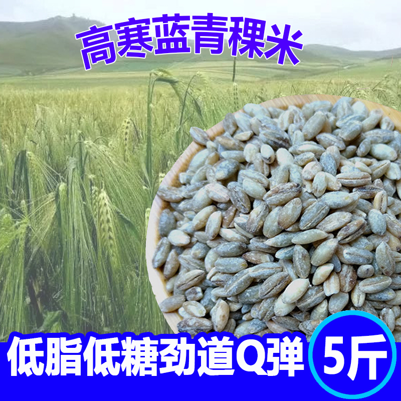 蓝青稞米香农家新米正品杂粮一级友糙米主食粗粮青藏高原青颗麦仁