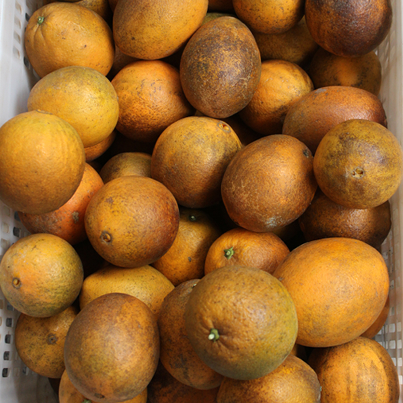 江西赣南脐橙寻乌甜橙子新鲜水果现摘现发20斤特价丑橙大小混装
