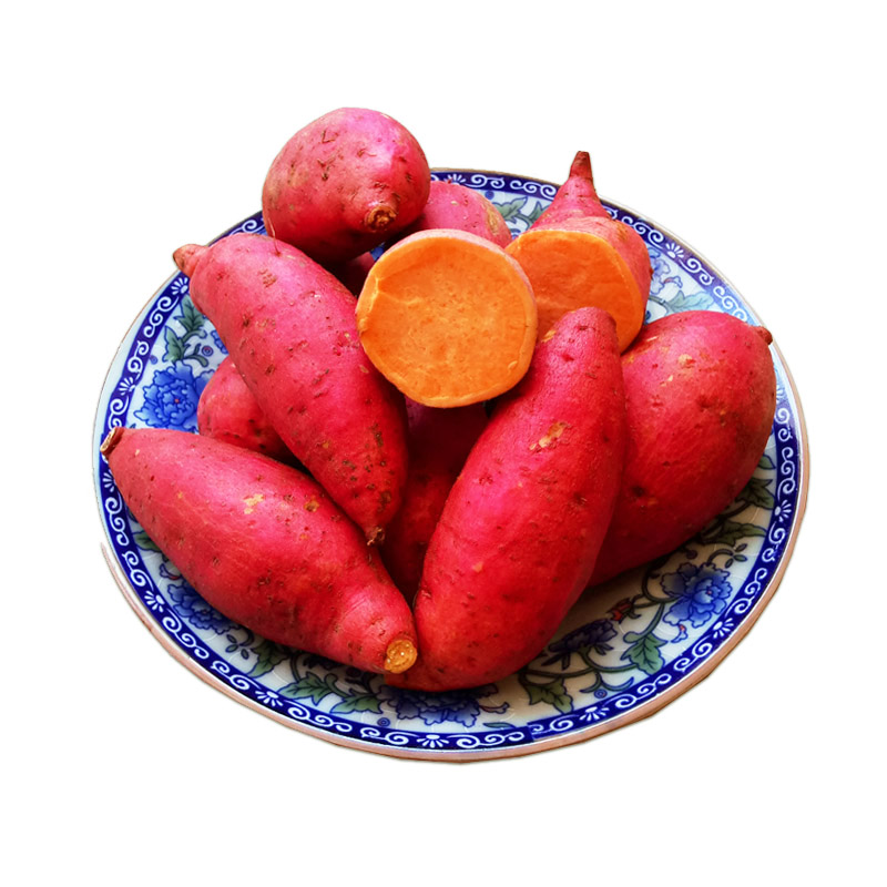 江西红薯新鲜番薯农家种植沙地红心蜜薯小香薯软糯香甜无丝烤地瓜