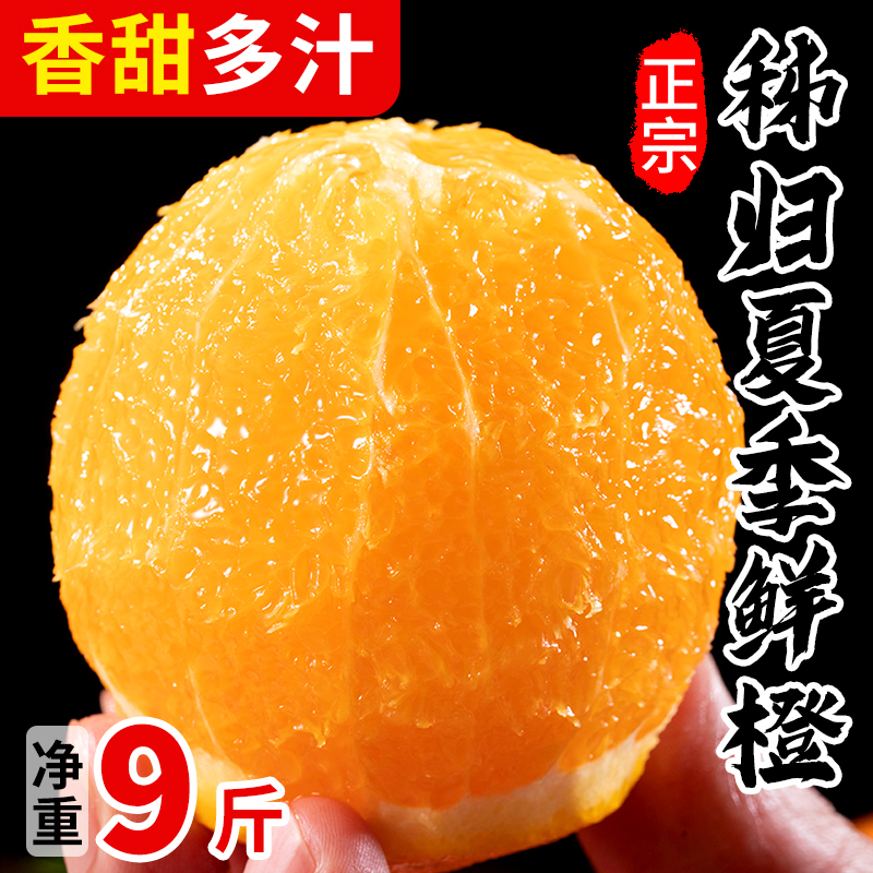 正宗秭归夏橙9斤爆汁橙子新鲜水果当季手剥整箱包邮5斤伦晚脐橙10