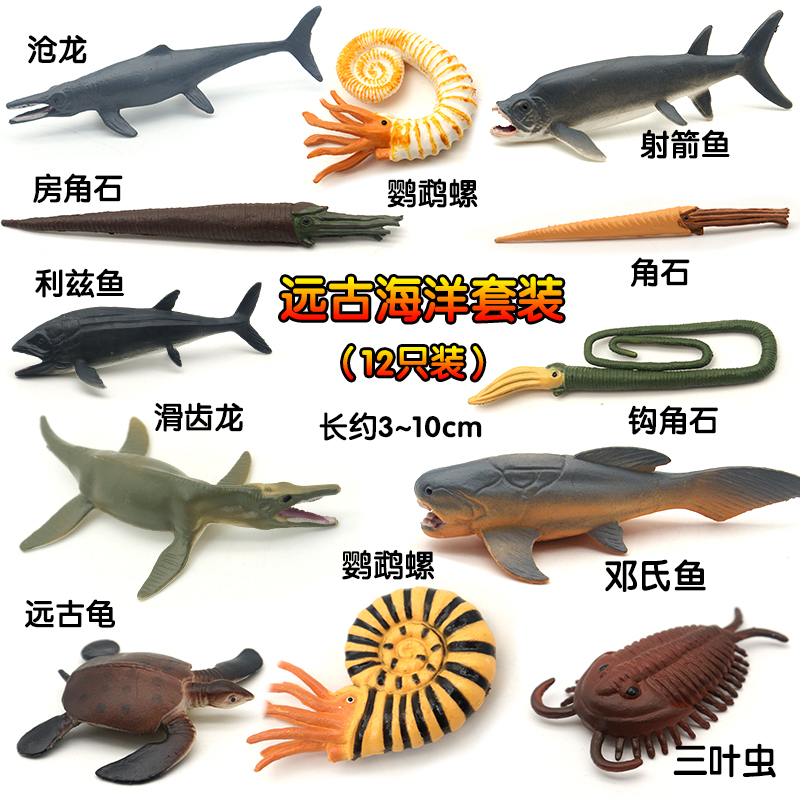 仿真远古海洋奇虾鹦鹉螺三叶虫菊石模型鲎角石玩具塑胶儿童科教育