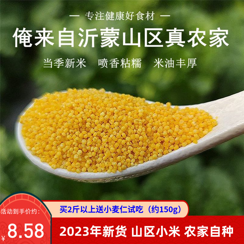 黄小米2023新米沂蒙山农家自种食用五谷杂粮月子米宝宝小黄米500g