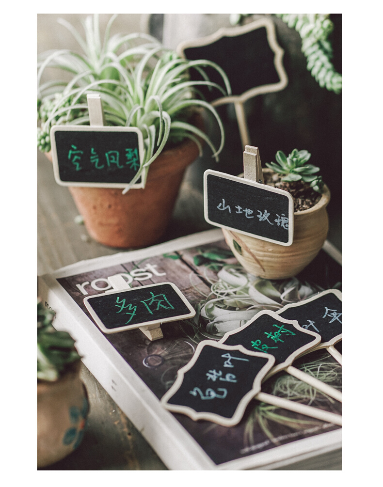 花开了 园艺植物名字标签插地牌创意木质小黑板插牌/夹牌5个套装