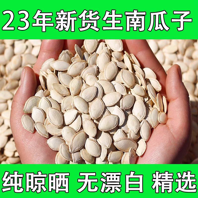 2023年内蒙古新货生南瓜子中大片带壳籽原香仁生的散装炒货2斤5斤