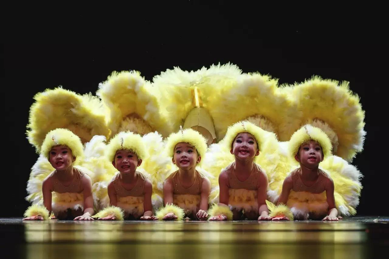 小鸭子的梦舞蹈演出服第九届小荷风采儿童动物表演服饰幼儿天鹅舞