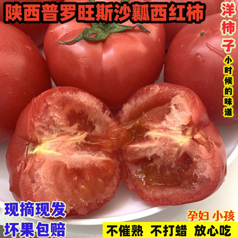 珍妹 精品水果西红柿 沙瓤 新鲜水果 每天现摘