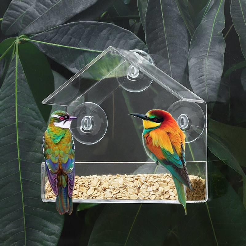 跨境亚克力鸟笼透明小鸟笼房子型喂鸟器带孔防积水食槽吸盘壁挂式
