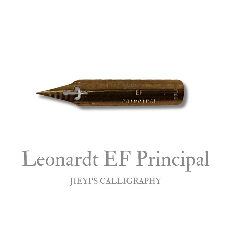 英国 英文书法笔尖圆体蘸水笔点尖Leonardt EF Principal推荐LPEF