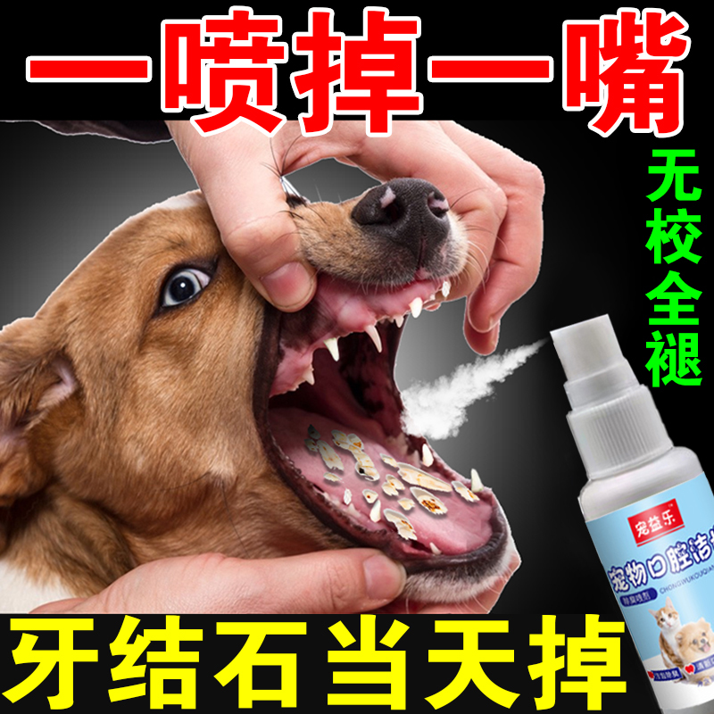 狗狗牙结石去除神器除口臭牙齿清洁口腔清理牙结石犬牙结石软化剂