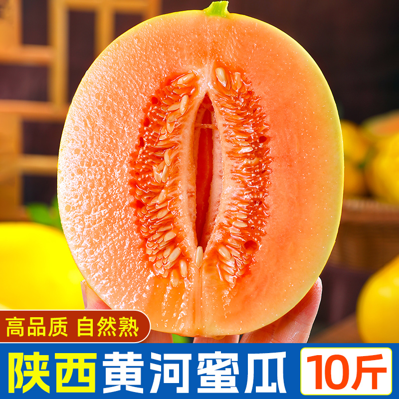 陕西黄河蜜甜瓜10斤新鲜水果整箱包邮沙漠红金宝香瓜当季哈5密瓜