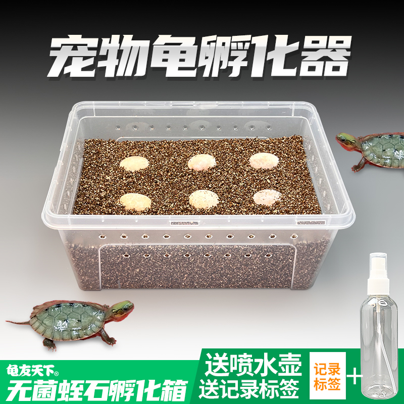 爬宠种龟蛋孵化器无菌蛭石守宫蛇蛋蜥蜴孵化盒保湿透气乌龟孵化箱