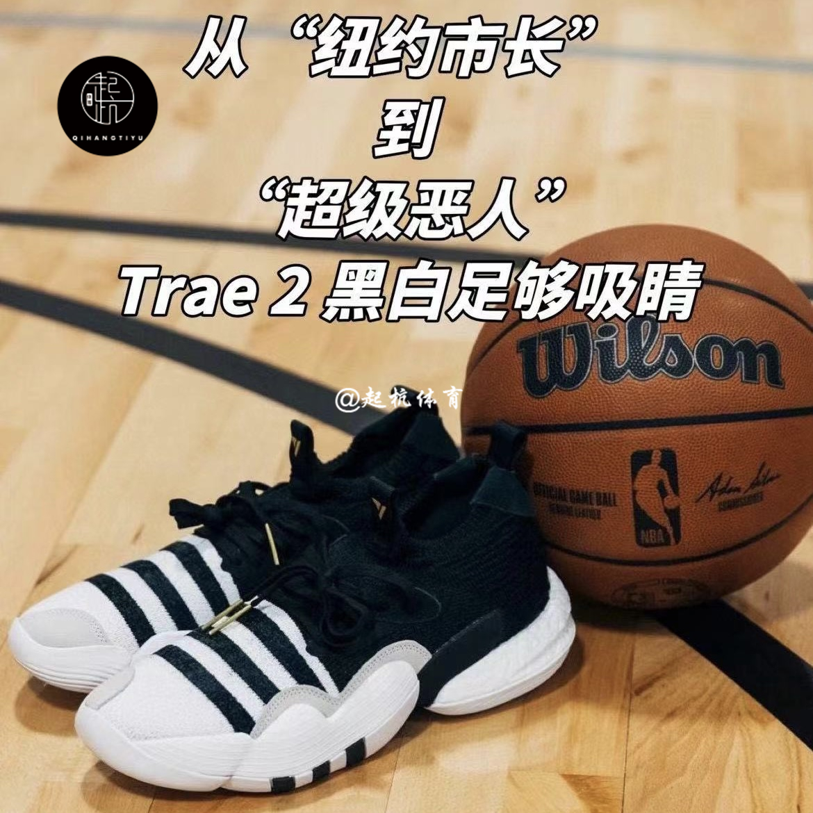 Adidas Trae Young 2.0 特雷杨2代Boost男子缓震实战篮球鞋H06477