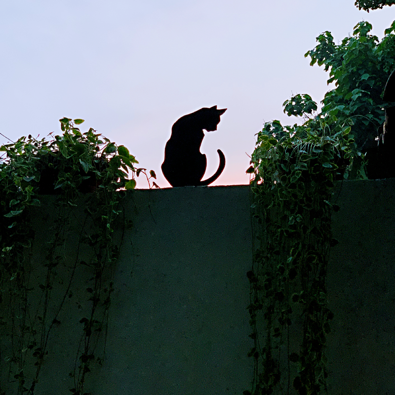 铁艺猫咪花插 地插围墙装饰 花园杂货 庭院花盆挂架花架