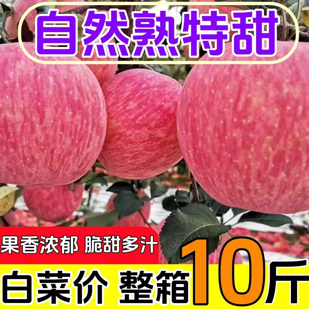 【超便宜】山东红富士苹果当季新鲜冰糖心苹果脆甜一整箱水果批发