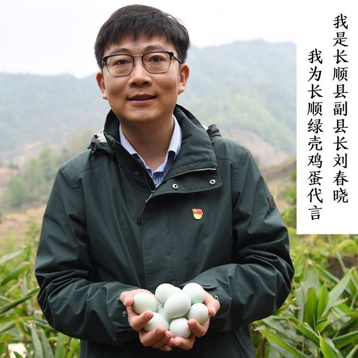 农户绿壳鸡蛋扶贫土鸡蛋柴鸡蛋农家好货生鲜无污染有机认证地标