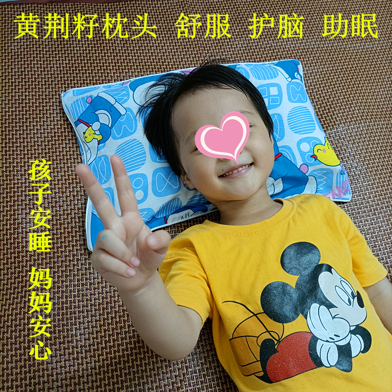 客家梅州黄荆子10斤黄金籽布惊子枕头填充物枕芯料助睡眠按摩婴儿