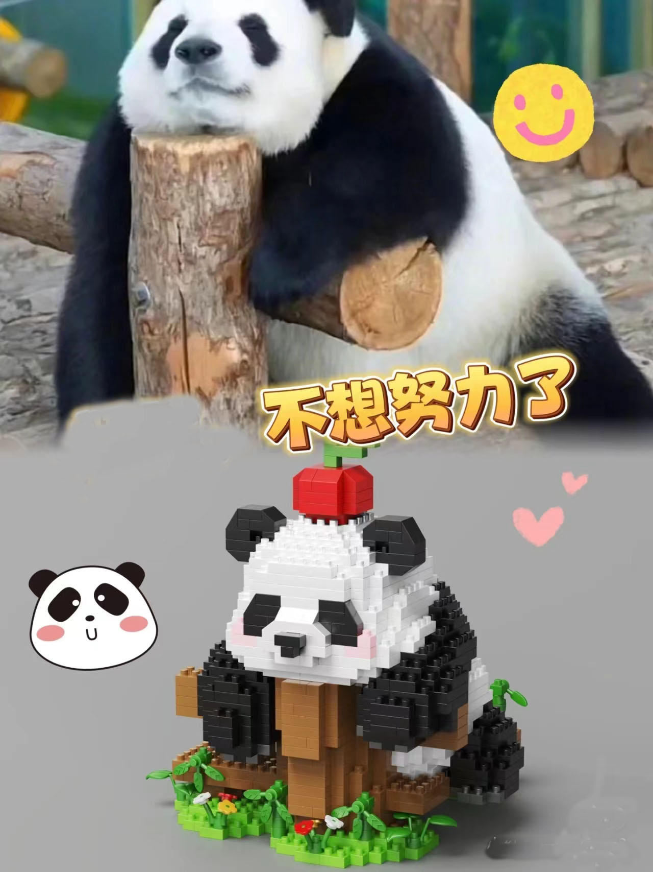 中国积木功夫萌兰花花果赖拼装积木大熊猫送男女孩系列暑假礼物