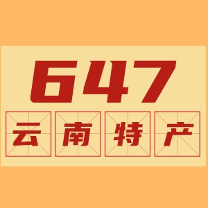 保山647云南特产店