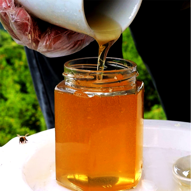 田园小漠家泡柠檬水纯正天然土蜂蜜农家自产中蜂百花蜜蜂场直销