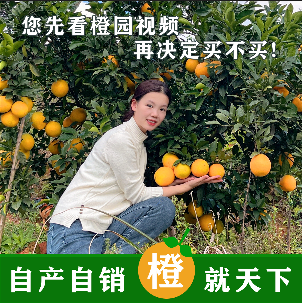 赣南农产品 赣南脐橙 新鲜应季小孩孕妇水果甜橙20斤果园包邮