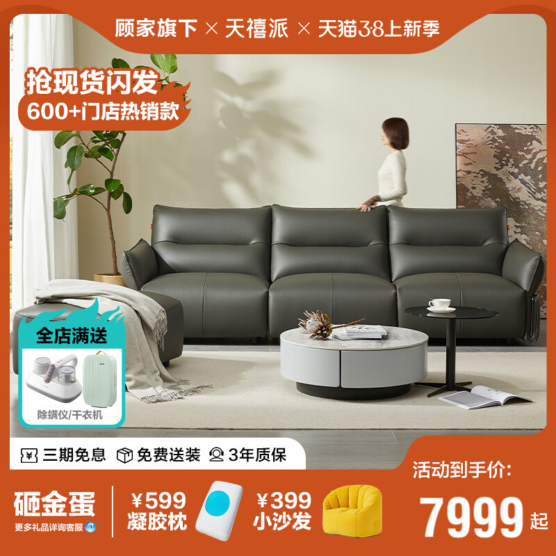 天禧派客厅沙发2024新款小户型欧式沙发顾家现代简约1017