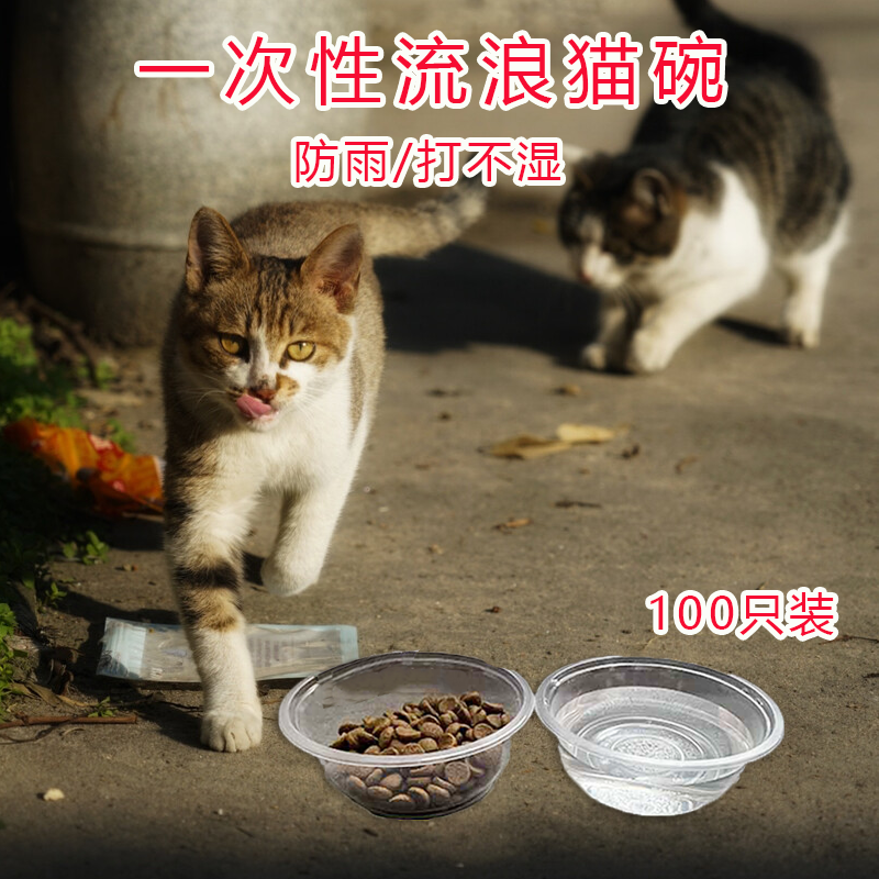 流浪猫喂食碗户外防雨防水一次性防蚂蚁喂猫碗猫食盆狗狗喝水吃饭