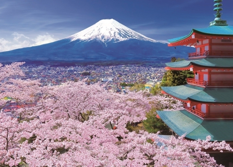 现货 日本EPOCH进口益智拼图樱花下的富士山和五重塔500片 1000片