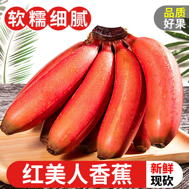 海南红皮香蕉红美人香蕉9斤整箱新鲜现摘小米蕉芭当季水果小香蕉