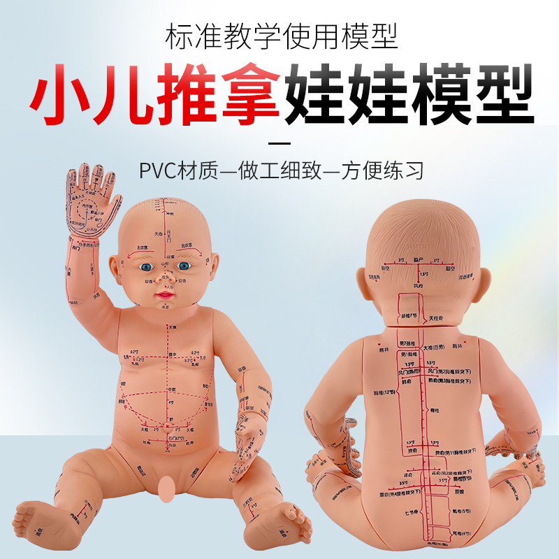 婴儿人体模型儿童娃娃人体模型针灸中医通用穴位小儿推拿仿真模型