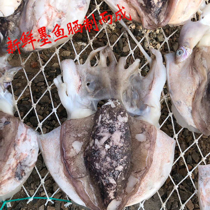 新晒小墨鱼干500g东海野生乌贼目鱼干煲汤新鲜海鲜干货特级海产品