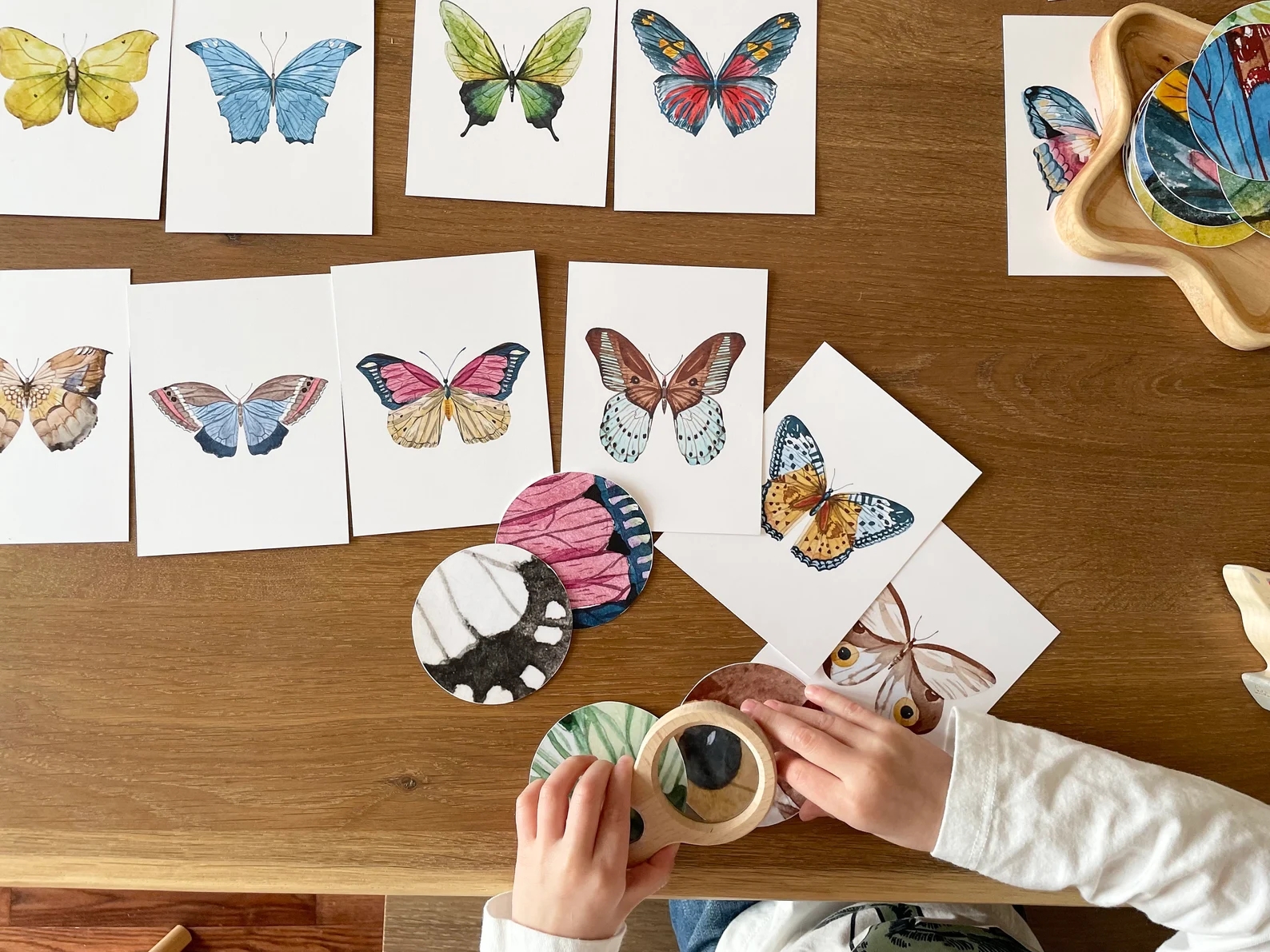 幼儿蝴蝶翅膀图案配对游戏卡片瑞吉欧华德福蒙氏昆虫儿童自然游戏