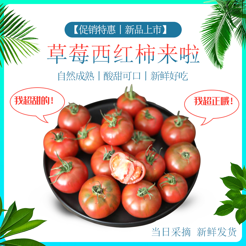 密云农家草莓西红柿新鲜番茄自然熟应季水果蔬菜绿腚铁皮柿子包邮