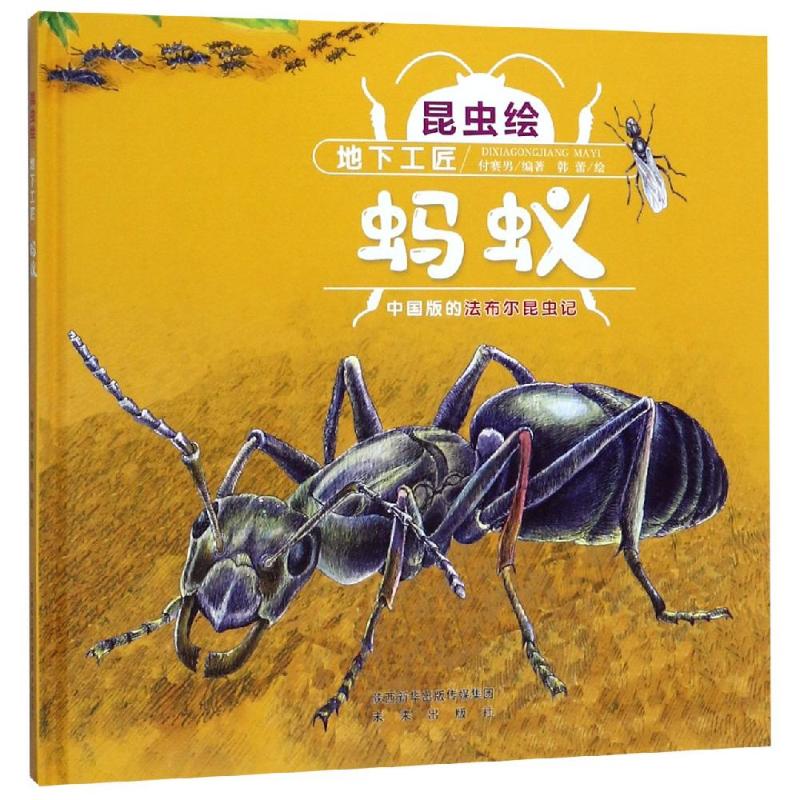 正版新书 地下工匠:蚂蚁(精装)/昆虫绘 付赛男 9787541767609 未来出版社