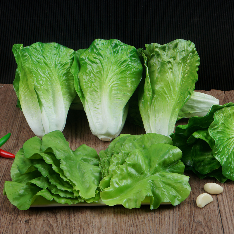 仿真生菜叶模型假蔬菜青菜叶子道具儿童早教具鲜菜叶食品菜盘摆件