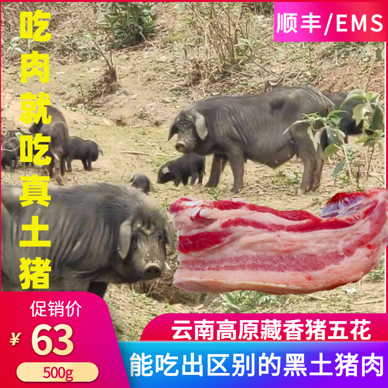 云南跑山猪五花肉新鲜高原藏香猪肉农家深山放养黑土猪肉孕妇食用