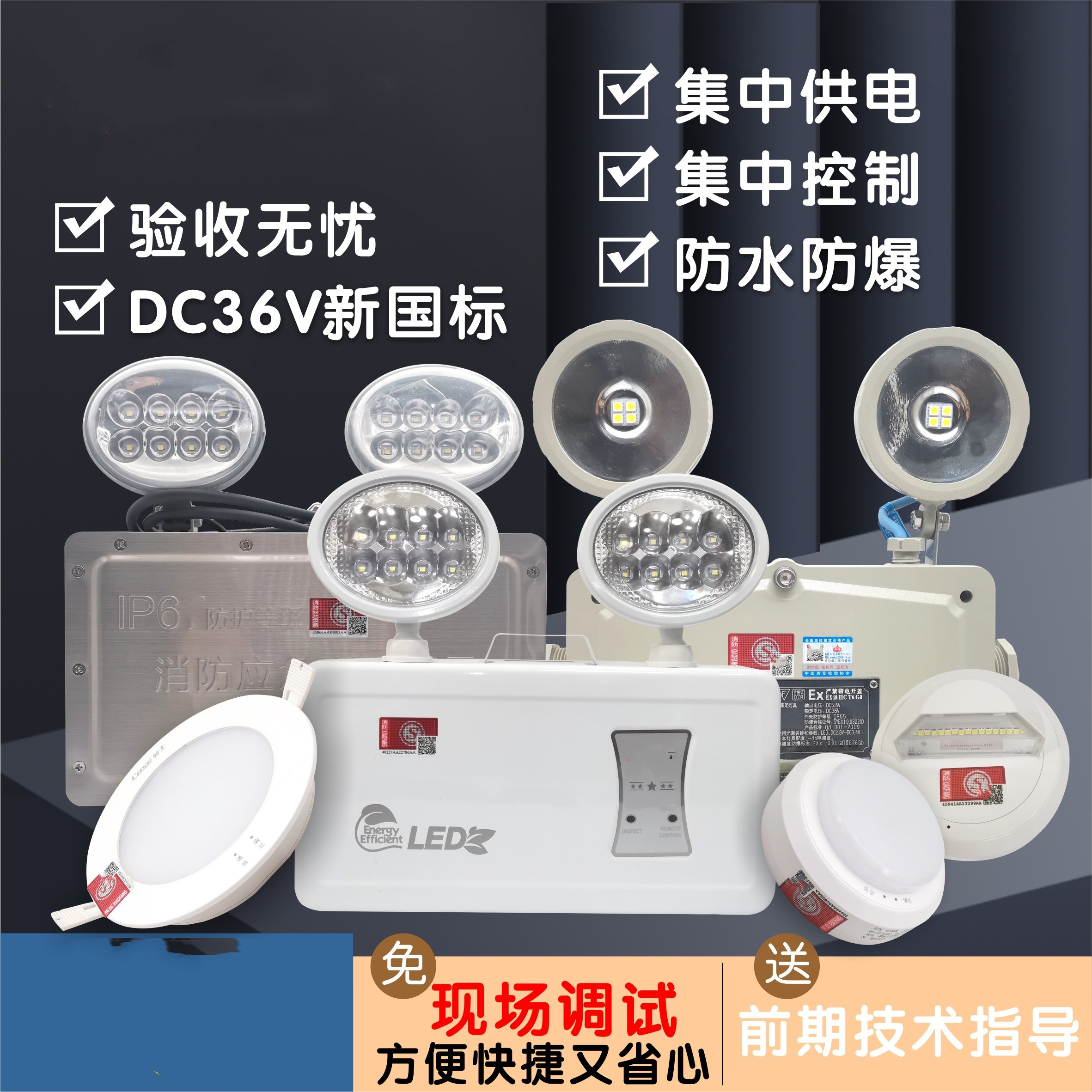 敏华A型集中控制应急灯壁灯DC36V应急照明灯智能防水防爆双头灯