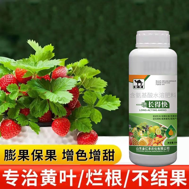 草莓肥料专用肥免稀释营养液室内家用盆栽植物有机液体肥料通用型