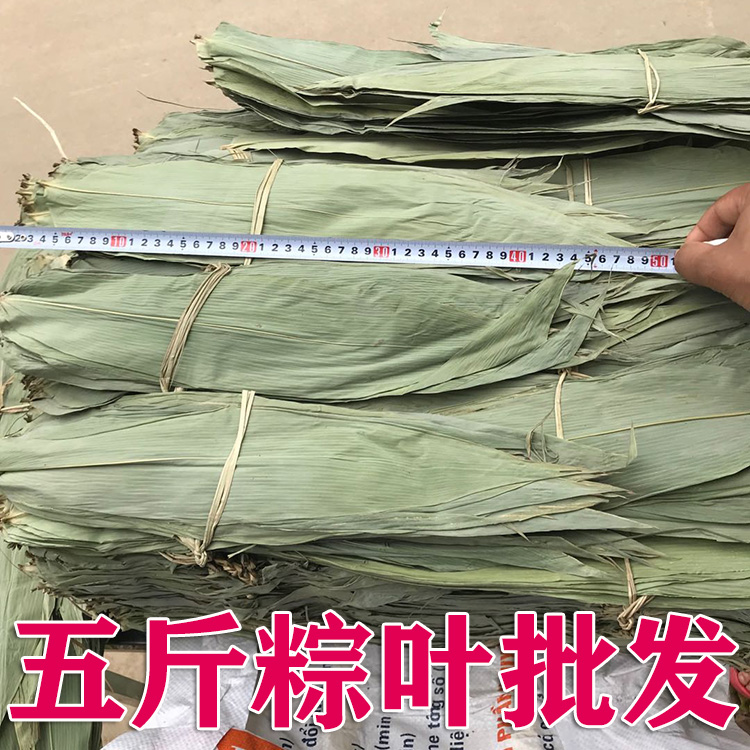 粽叶粽子叶5斤装五斤新鲜免邮包粽子的叶子干大号棕叶商用3斤