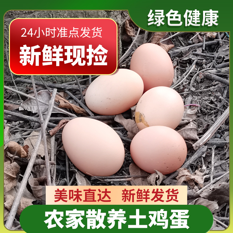 上海崇明20枚30枚林间散养草鸡蛋五谷喂养土鸡蛋农家家户蛋