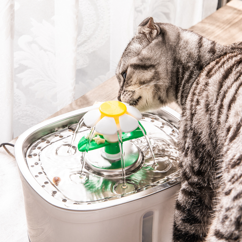 宠物喝水器饮水机猫咪要活水自动循环不锈钢喂水器Beaconpetcatit